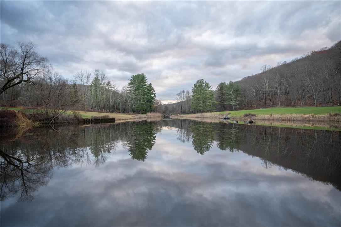 #20 photo, 165 Duell Hollow Road, Wingdale , NY 12594