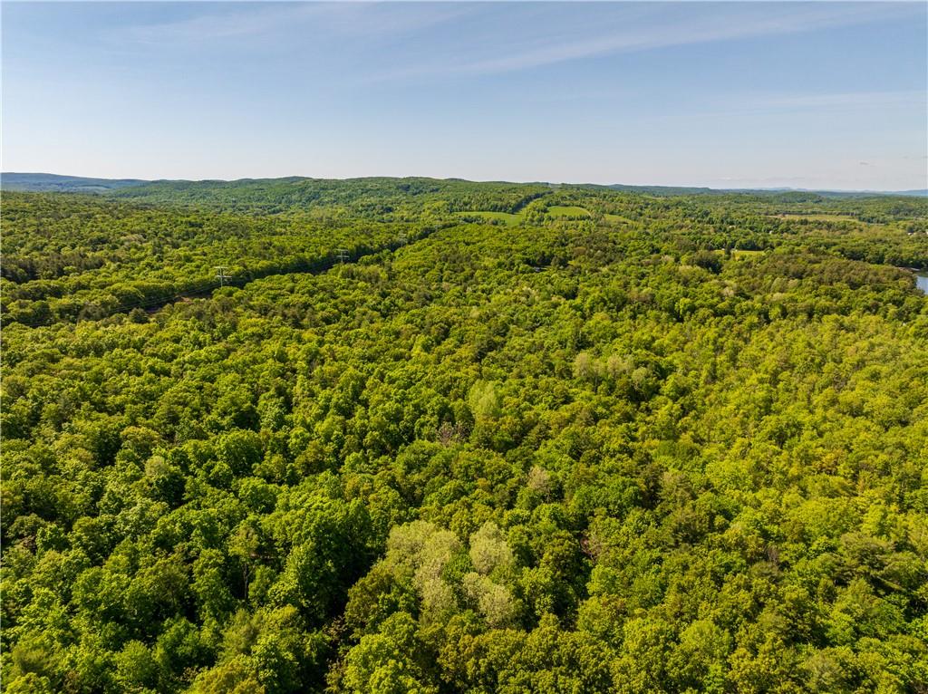 #6 photo, 15 Snyderville, Elizaville , NY 12523