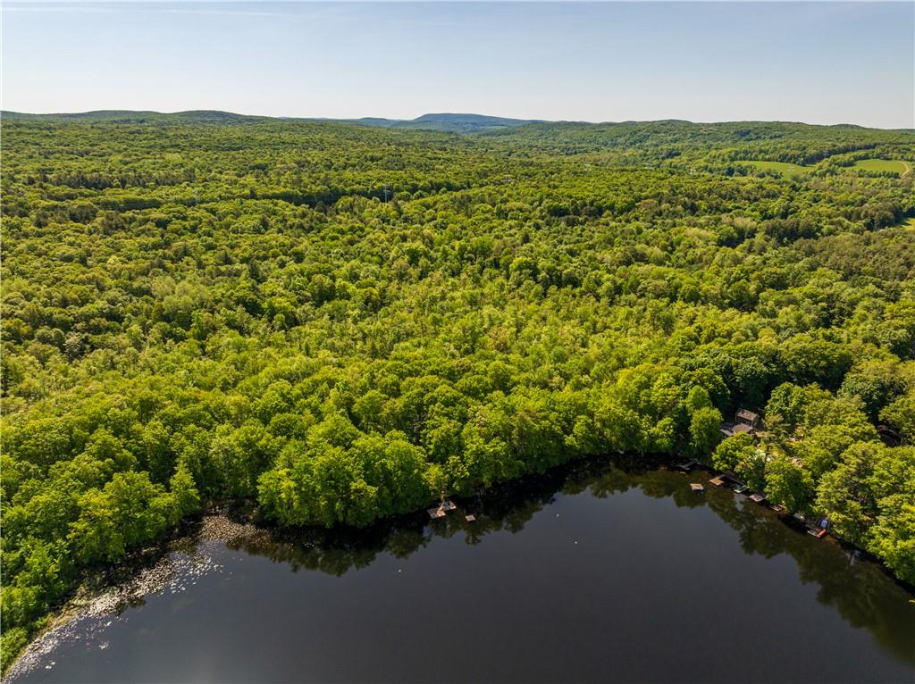 #8 photo, 15 Snyderville, Elizaville , NY 12523