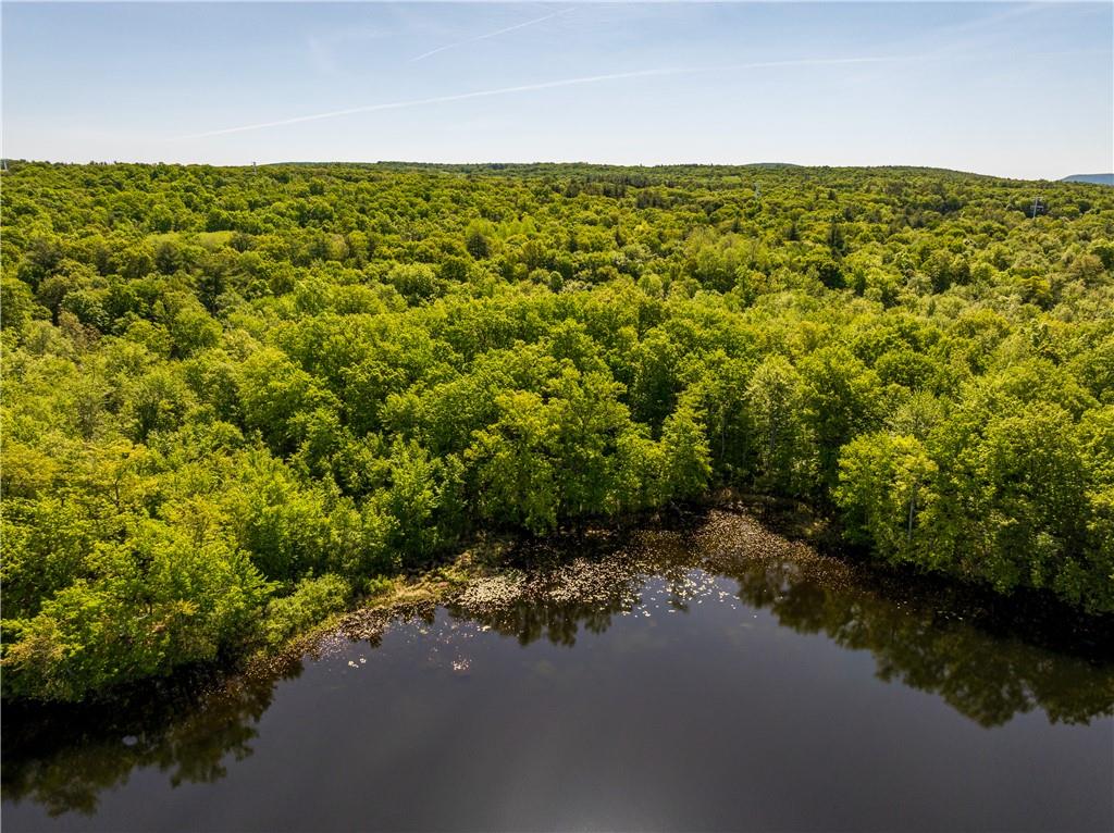 #9 photo, 15 Snyderville, Elizaville , NY 12523