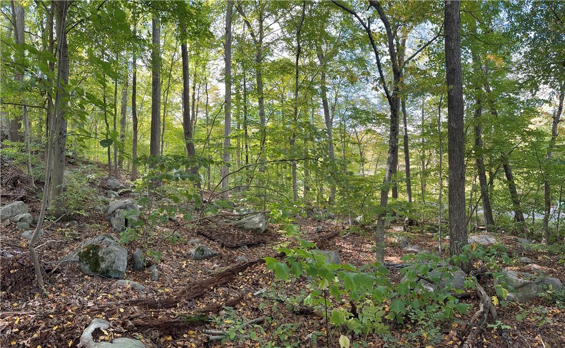 #2 photo, Lake Shore Road, Putnam Valley , NY 10579