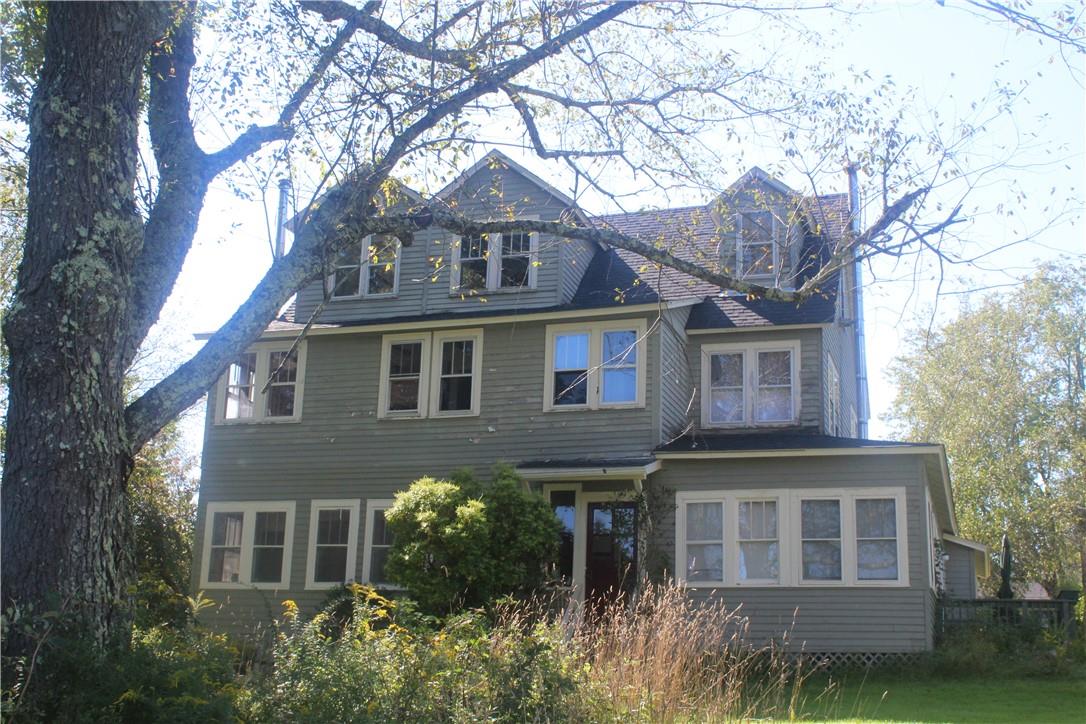 #2 photo, 17 Gold Dan, Swan Lake , NY 12783