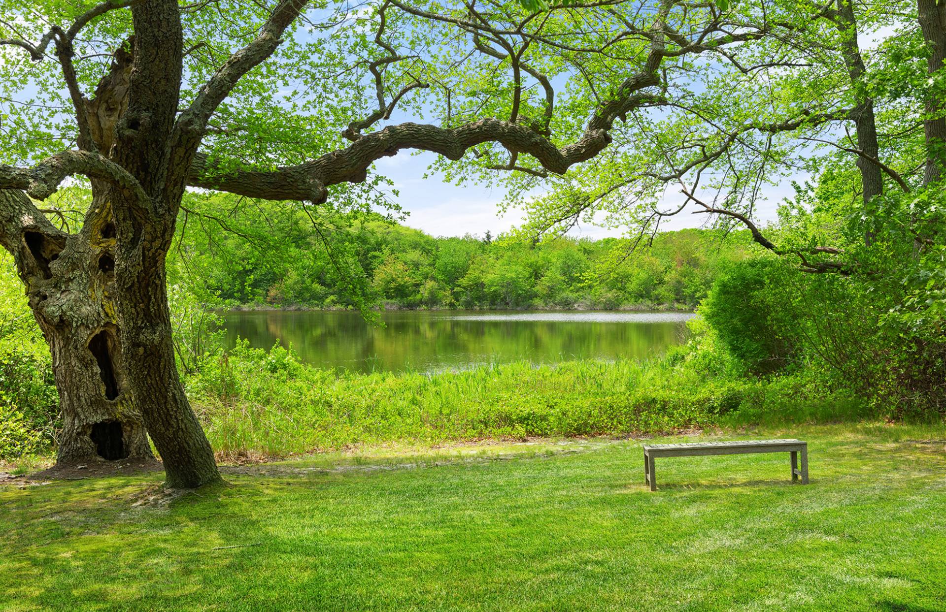 #11 photo, 61 Lower Seven Ponds Road, サフォーク郡 Water Mill , NY 11976