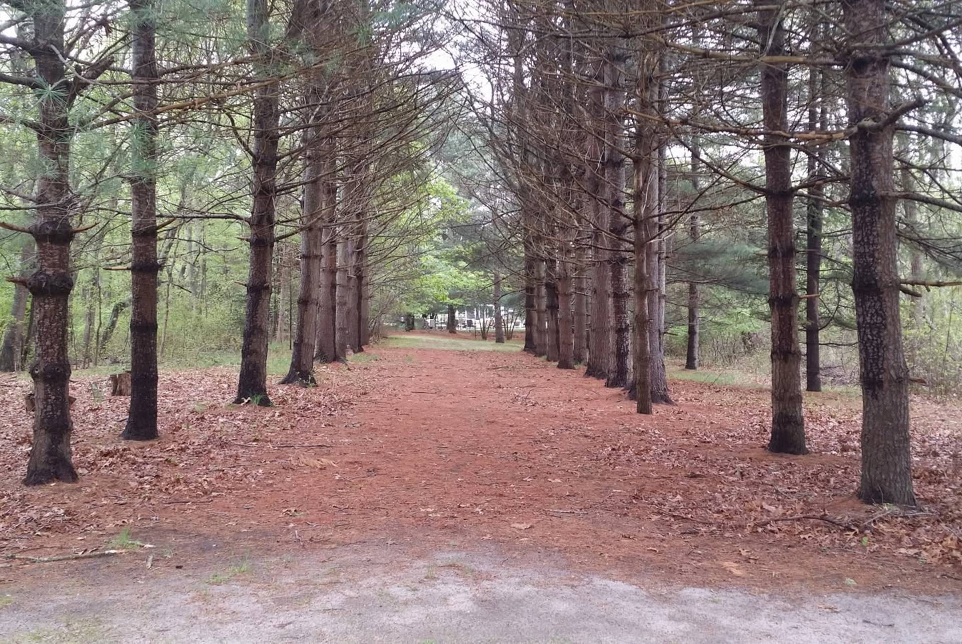 #34 photo, 61 Lower Seven Ponds Road, サフォーク郡 Water Mill , NY 11976