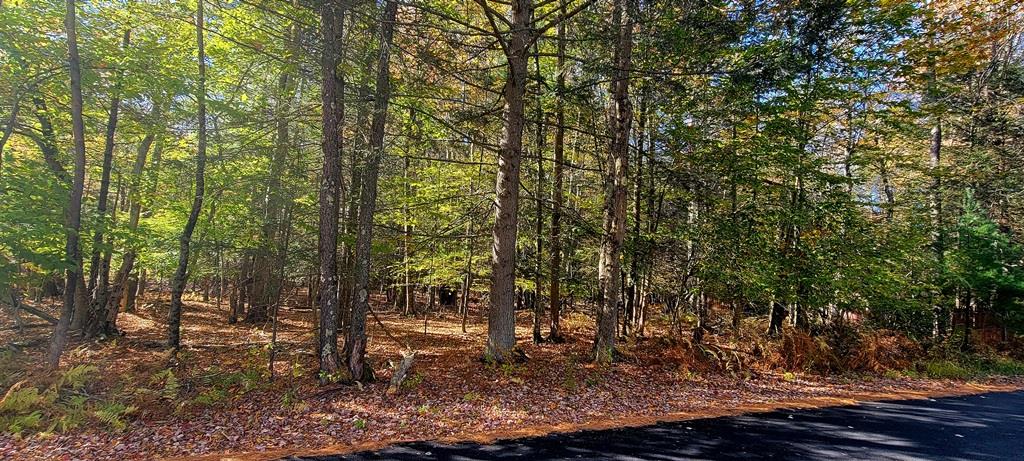 #12 photo, Moscoe Road, Bethel , NY 12786