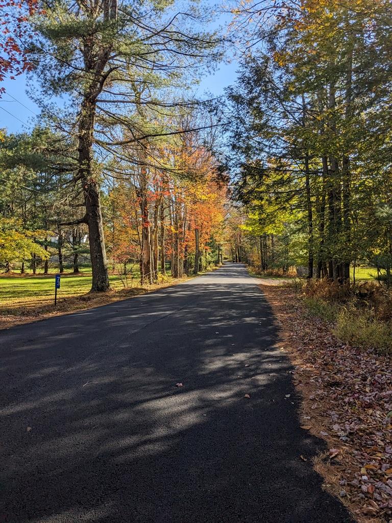 #2 photo, Moscoe Road, Bethel , NY 12786