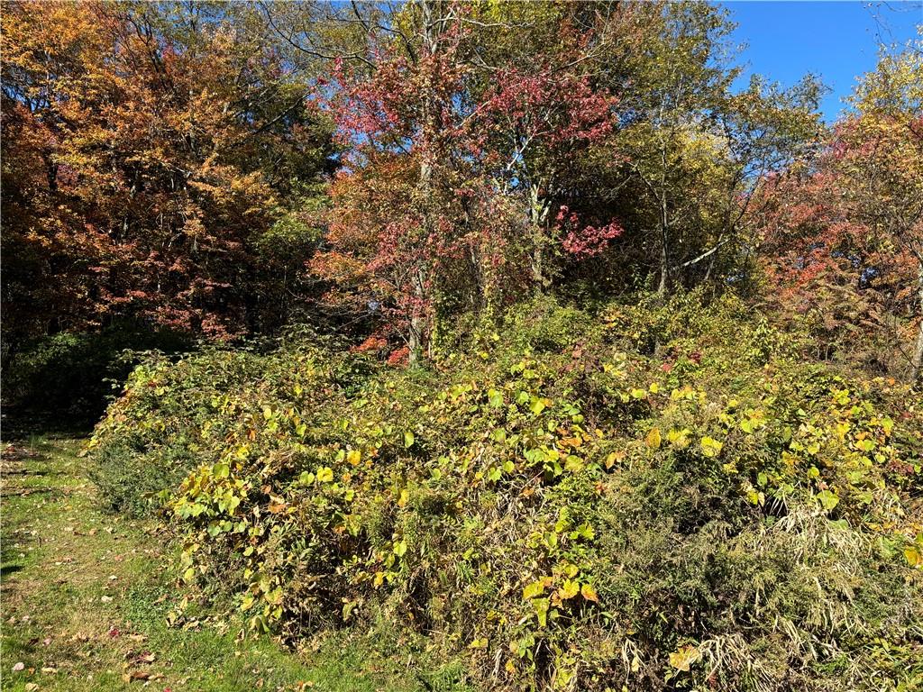 #2 photo, W Mombasha Road, Monroe , NY 10950