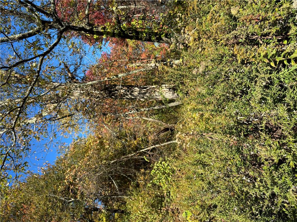 #3 photo, W Mombasha Road, Monroe , NY 10950