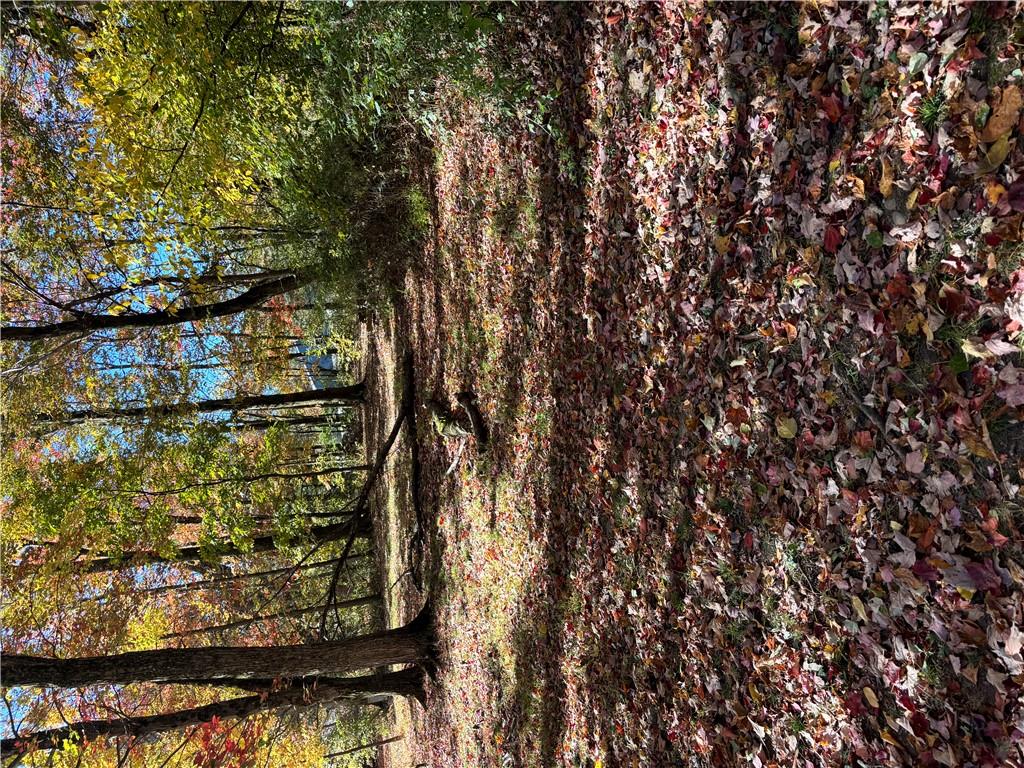 #5 photo, W Mombasha Road, Monroe , NY 10950