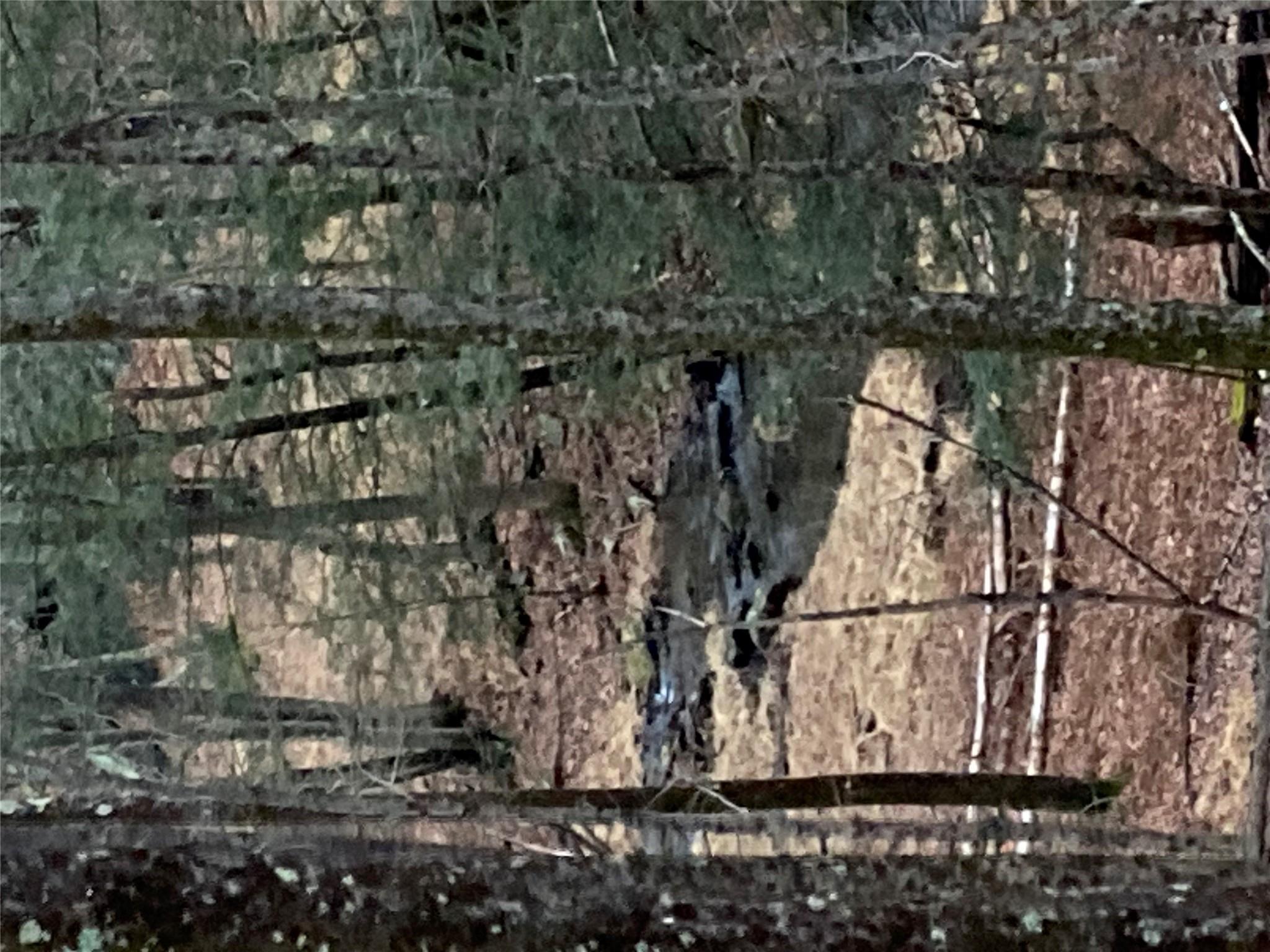 #10 photo, Red Hill Road, Wurtsboro , NY 12790