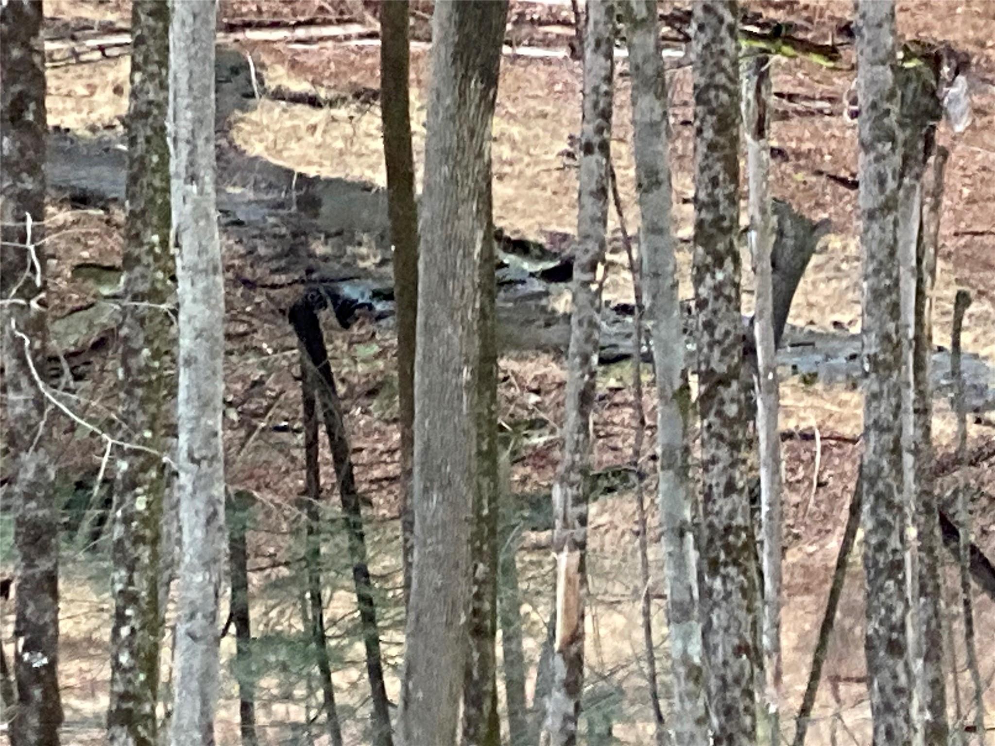 #11 photo, Red Hill Road, Wurtsboro , NY 12790