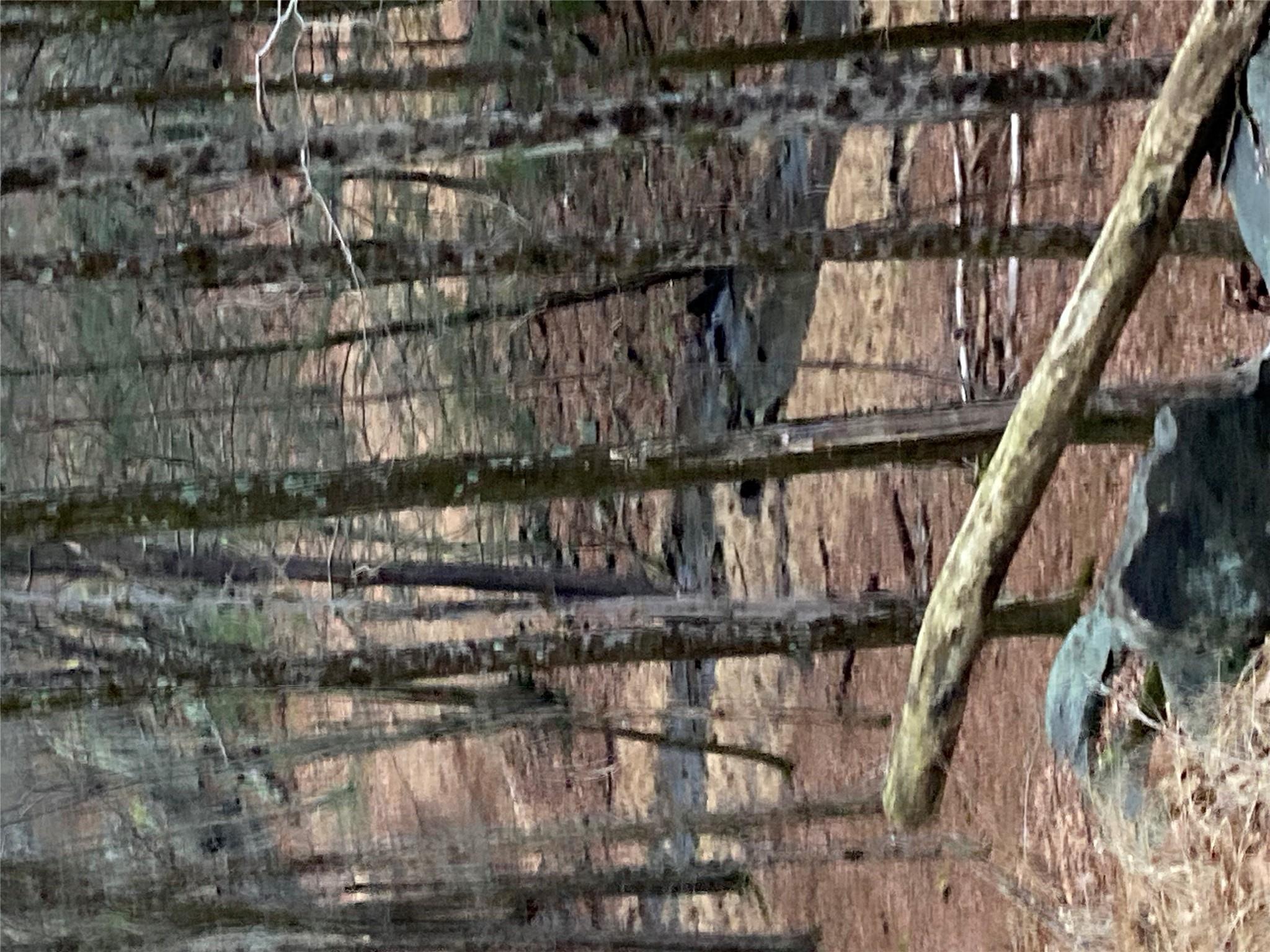 #13 photo, Red Hill Road, Wurtsboro , NY 12790