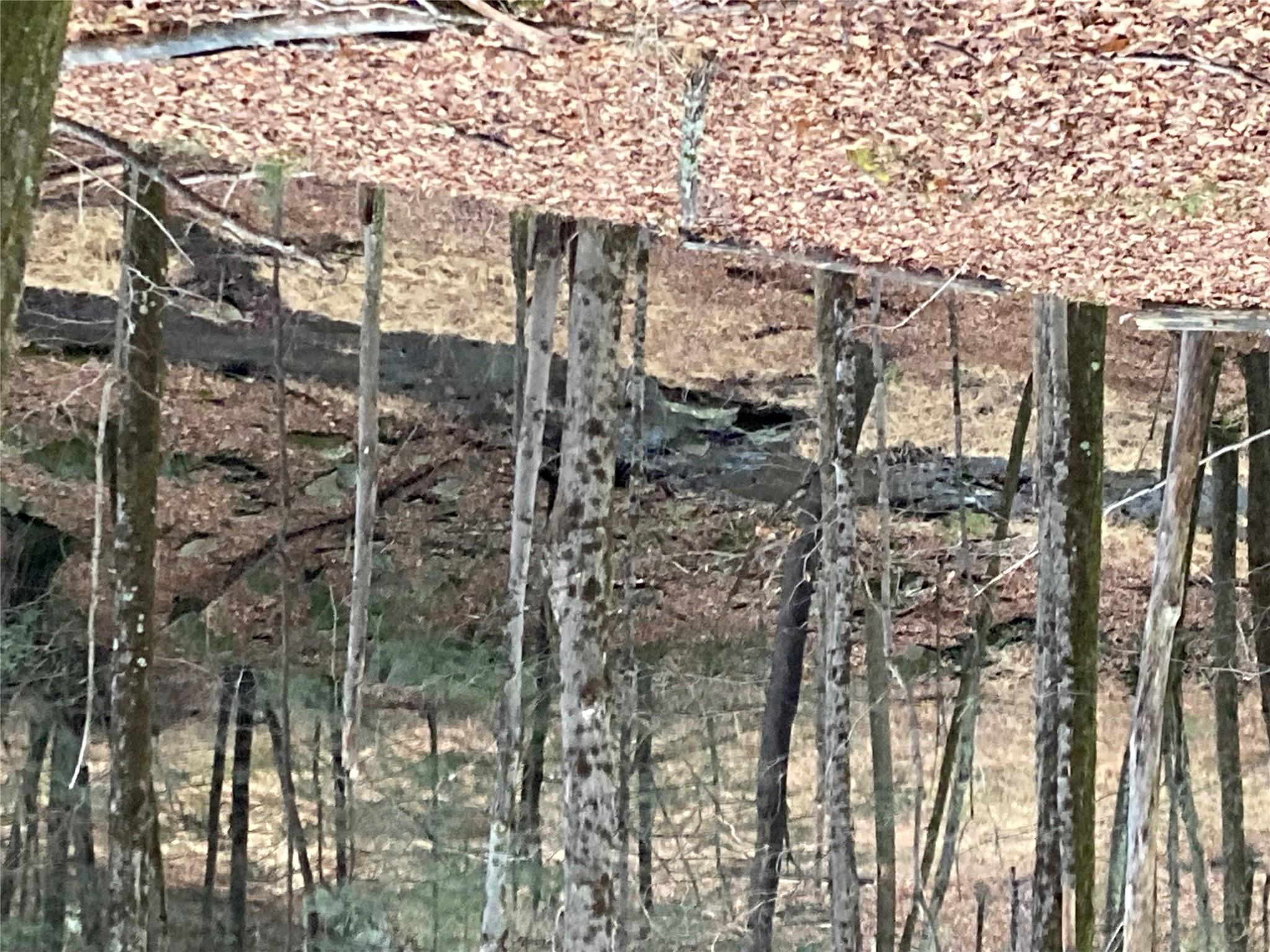 #14 photo, Red Hill Road, Wurtsboro , NY 12790