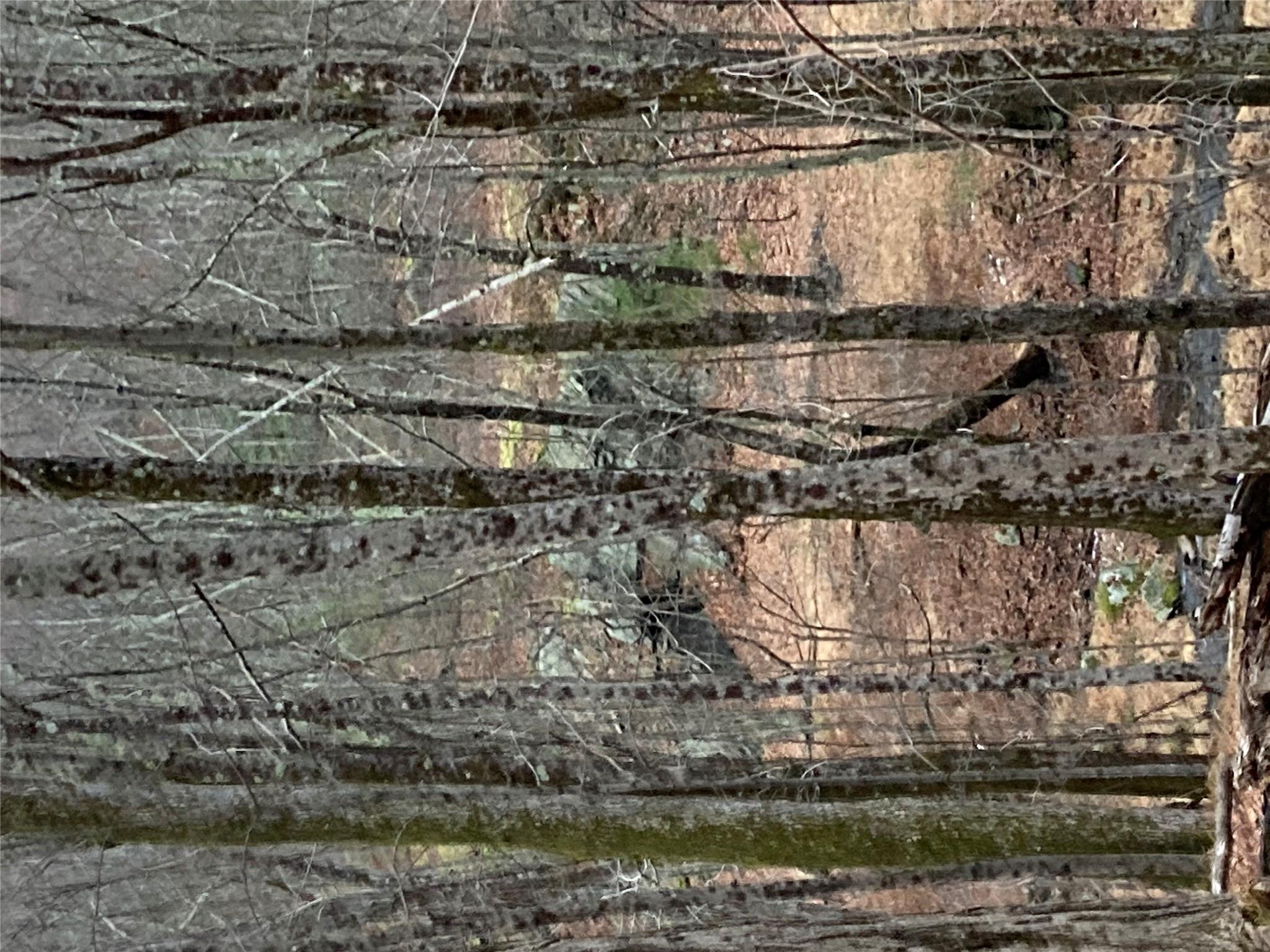 #15 photo, Red Hill Road, Wurtsboro , NY 12790