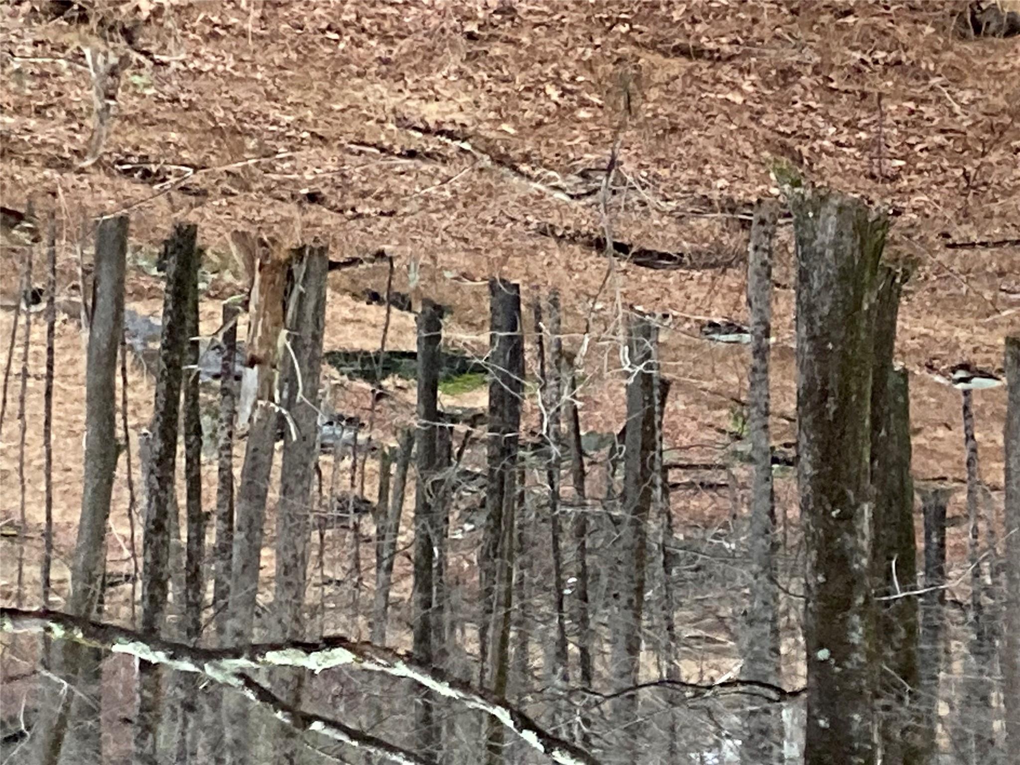 #17 photo, Red Hill Road, Wurtsboro , NY 12790