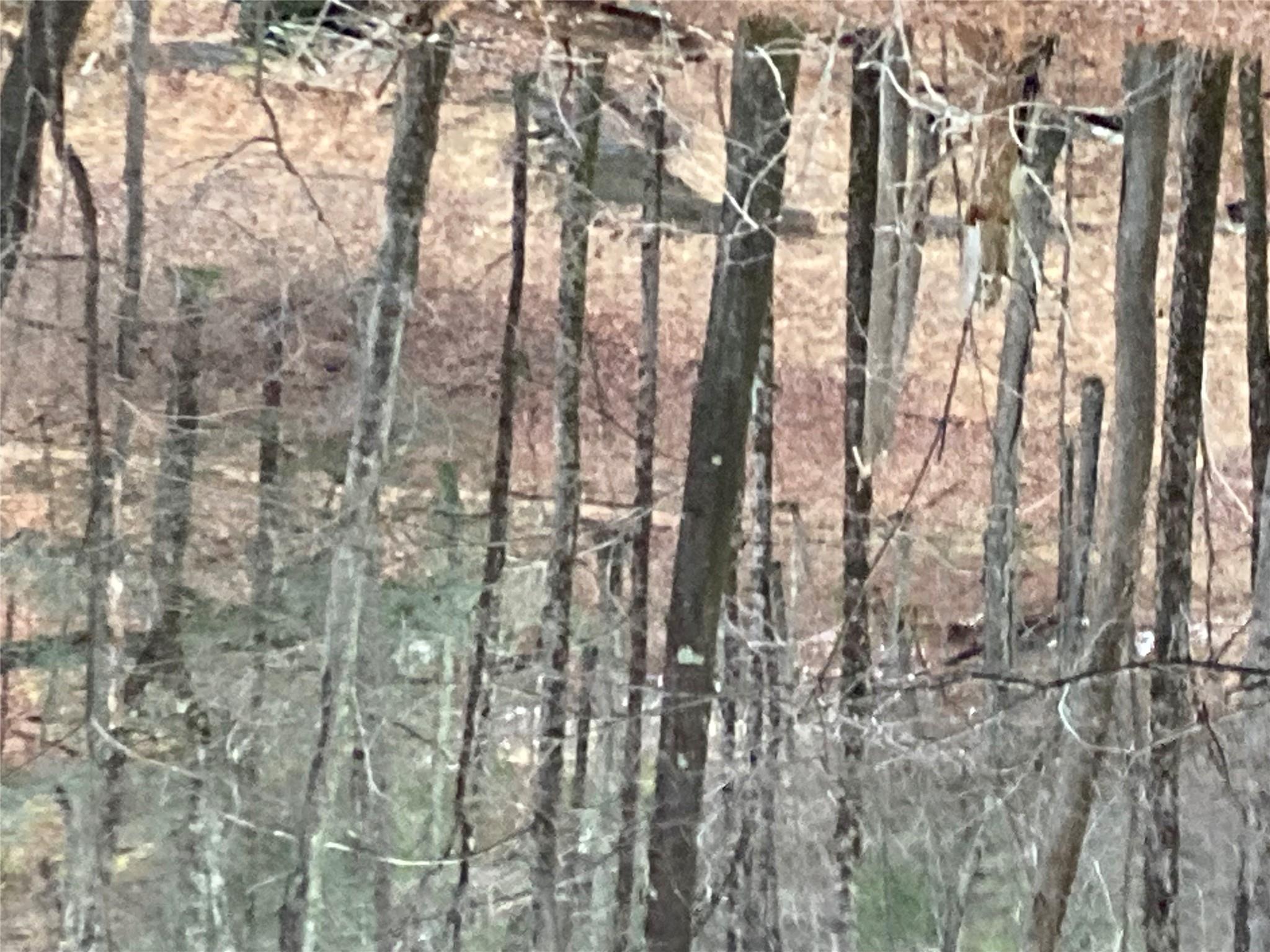 #18 photo, Red Hill Road, Wurtsboro , NY 12790