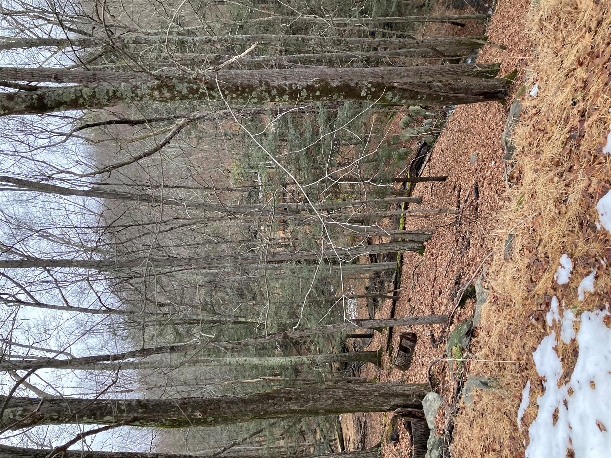 #5 photo, Red Hill Road, Wurtsboro , NY 12790