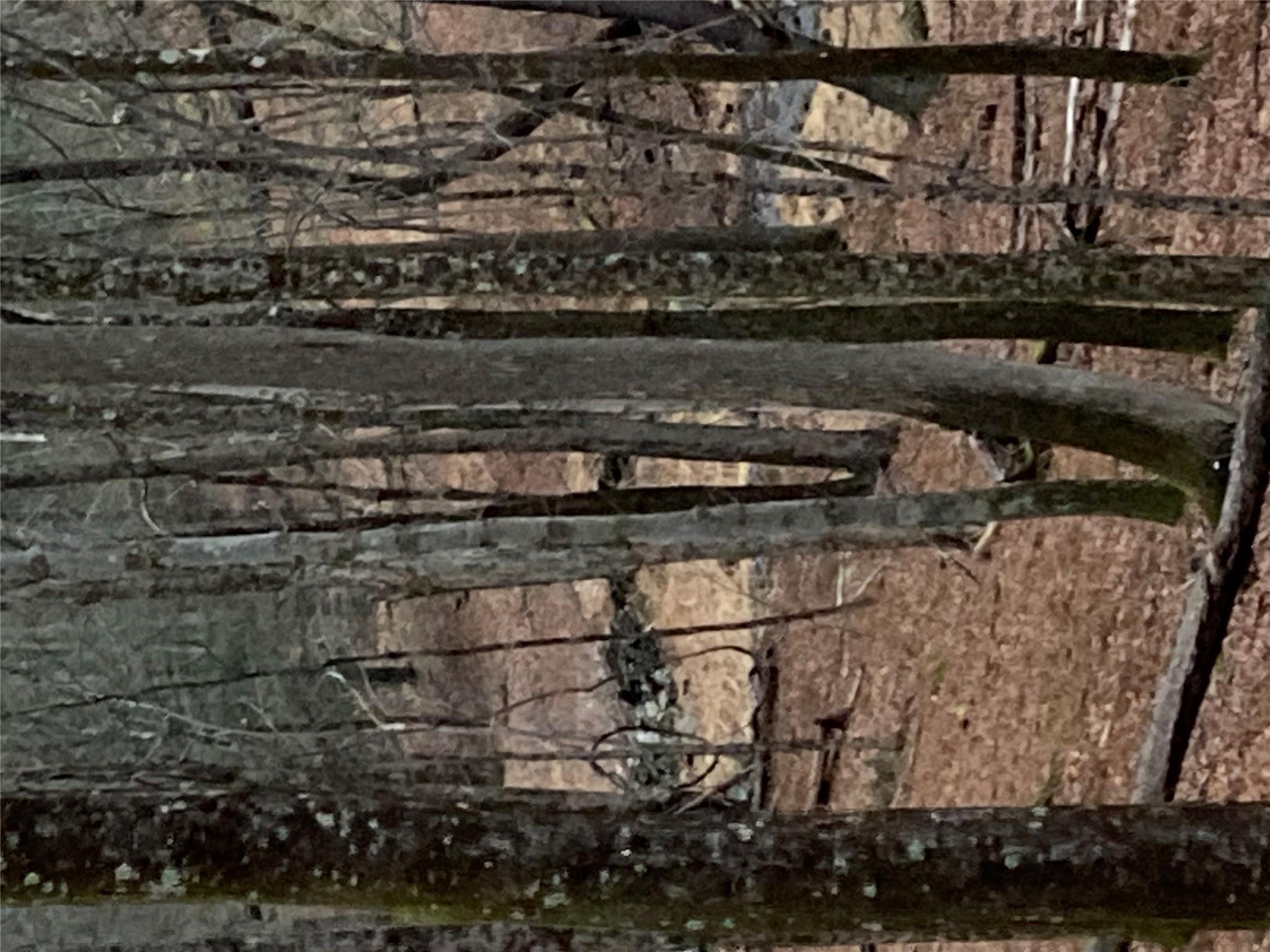 #8 photo, Red Hill Road, Wurtsboro , NY 12790