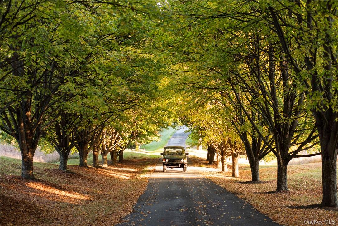 #3 photo, 465 Shunpike, Millbrook , NY 12545