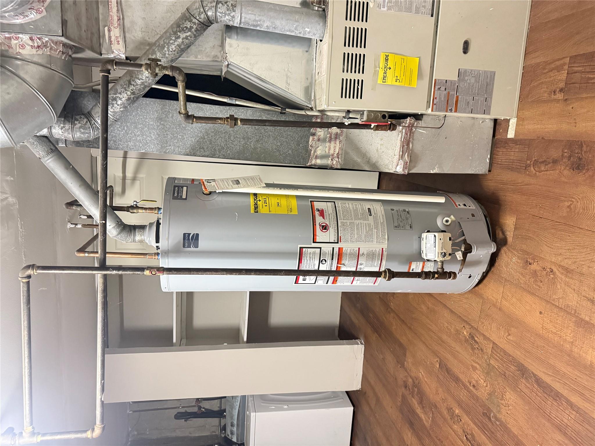 #11 photo, 244 Grafton Street, Brooklyn , NY 11212