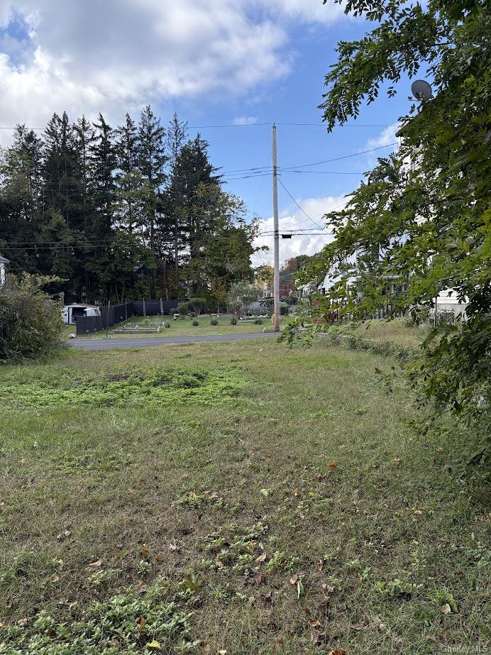 #10 photo, 25 Bruce Street, Port Jervis , NY 12771