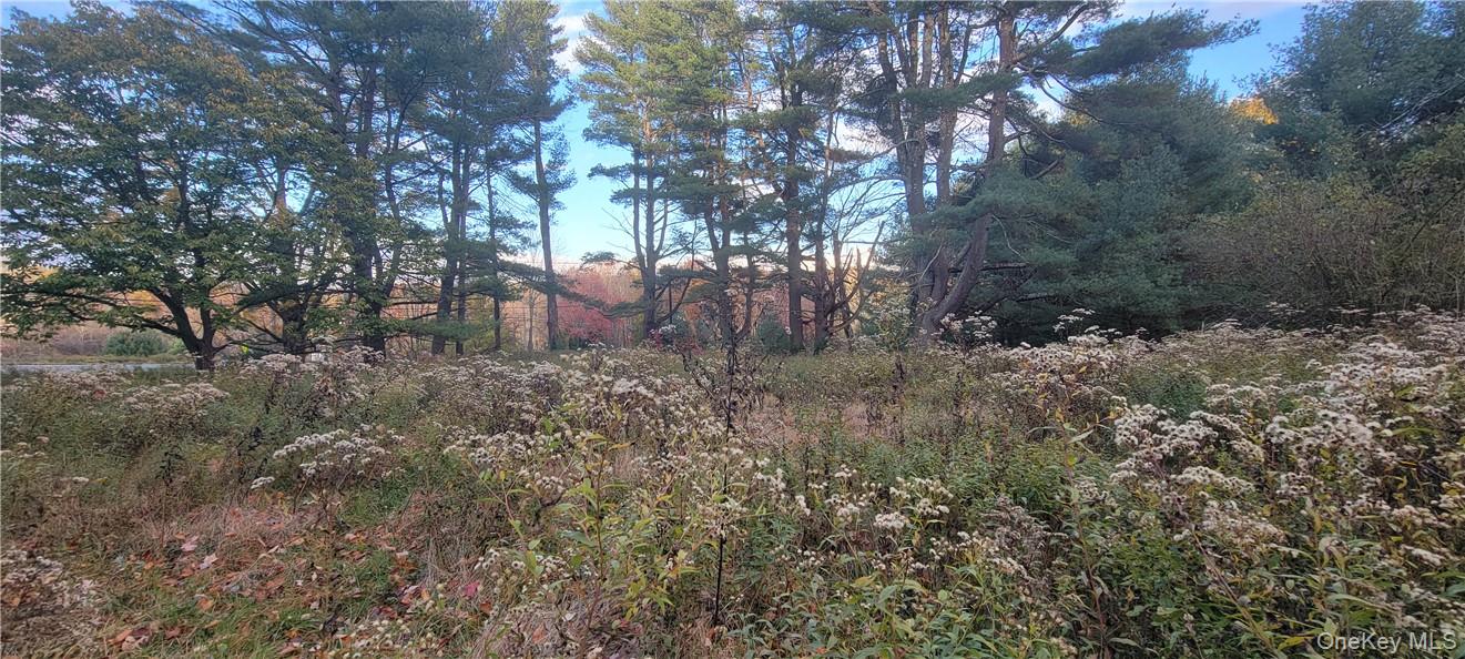 #10 photo, 1195 NYS Route 17B, Mongaup Valley , NY 12762