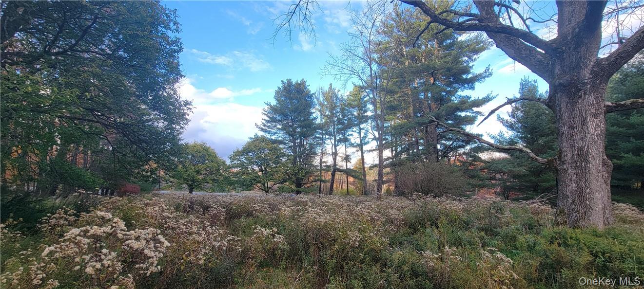 #12 photo, 1195 NYS Route 17B, Mongaup Valley , NY 12762