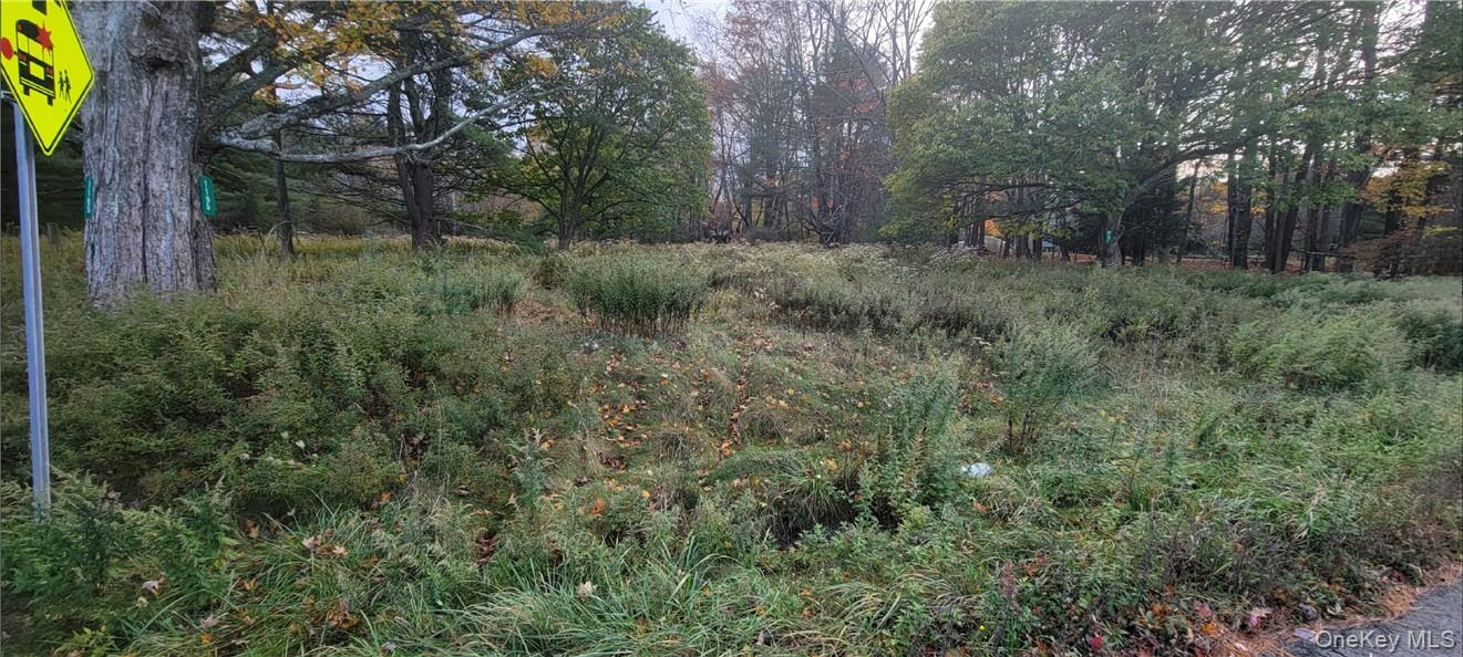 #13 photo, 1195 NYS Route 17B, Mongaup Valley , NY 12762