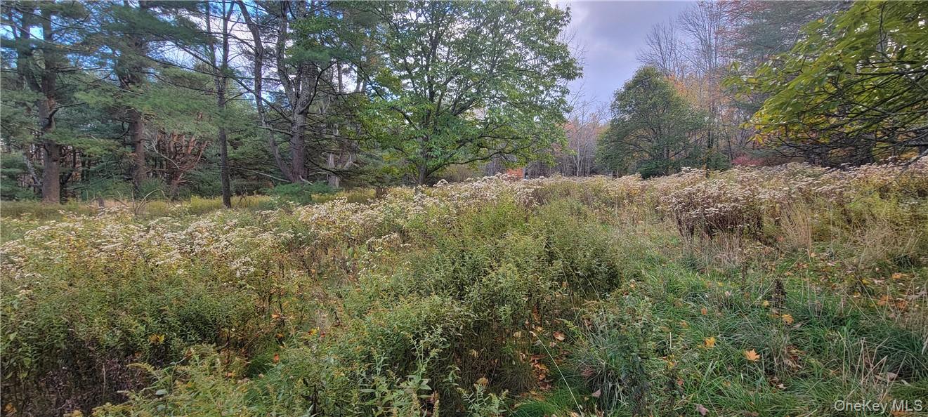 #14 photo, 1195 NYS Route 17B, Mongaup Valley , NY 12762