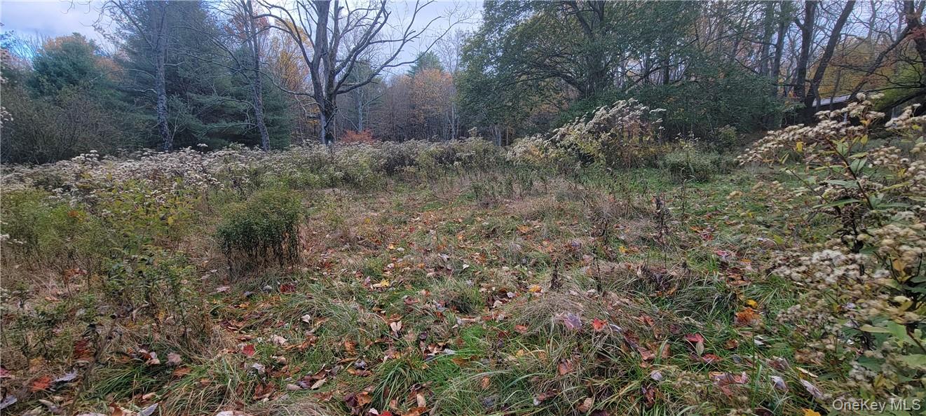 #15 photo, 1195 NYS Route 17B, Mongaup Valley , NY 12762