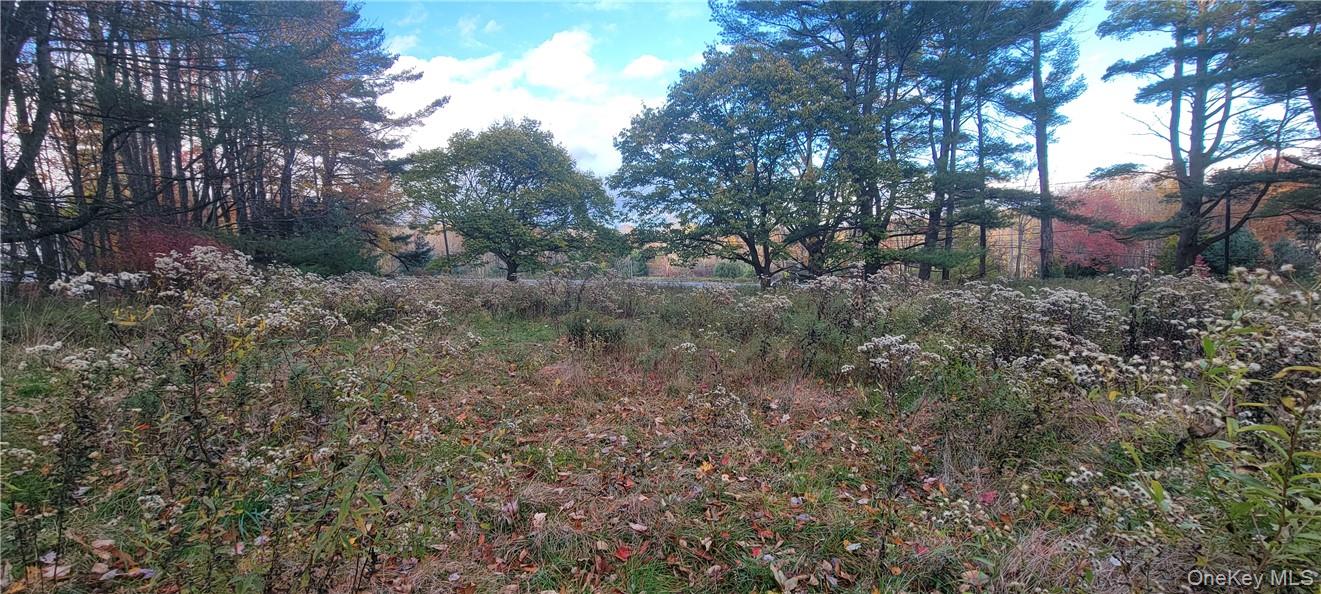 #16 photo, 1195 NYS Route 17B, Mongaup Valley , NY 12762