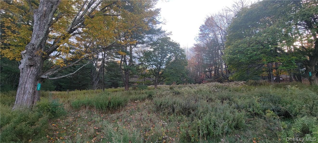 #17 photo, 1195 NYS Route 17B, Mongaup Valley , NY 12762