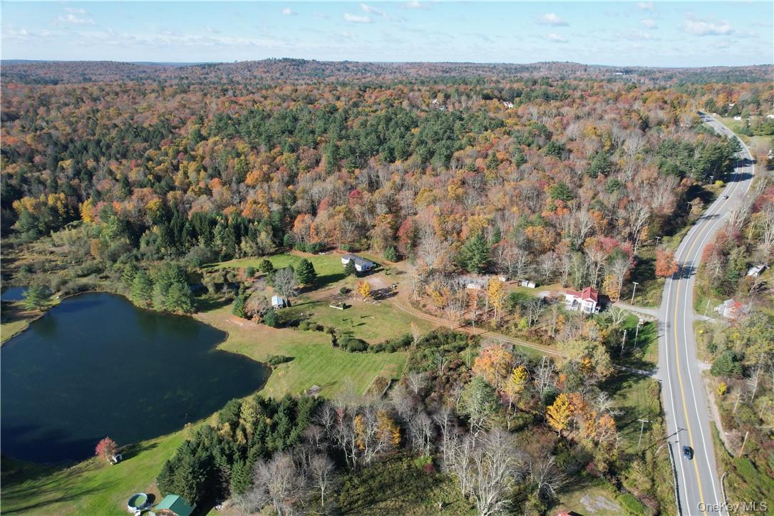 #2 photo, 1195 NYS Route 17B, Mongaup Valley , NY 12762