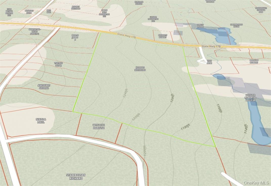 #20 photo, 1195 NYS Route 17B, Mongaup Valley , NY 12762