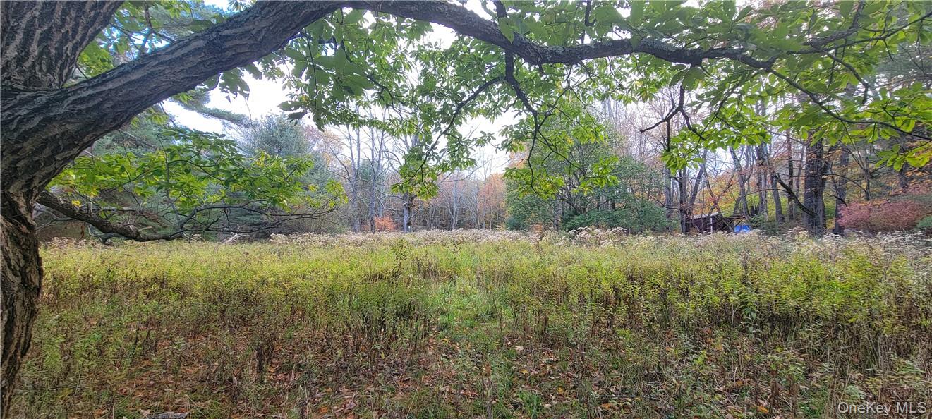 #4 photo, 1195 NYS Route 17B, Mongaup Valley , NY 12762