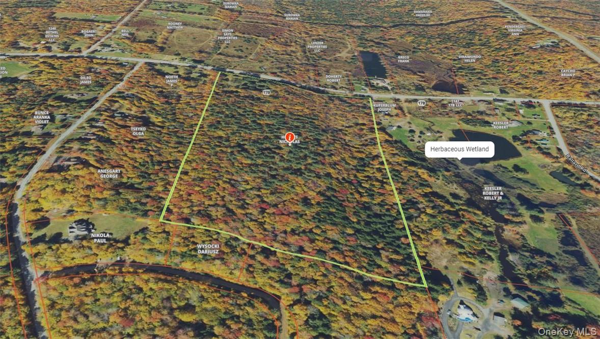 #5 photo, 1195 NYS Route 17B, Mongaup Valley , NY 12762