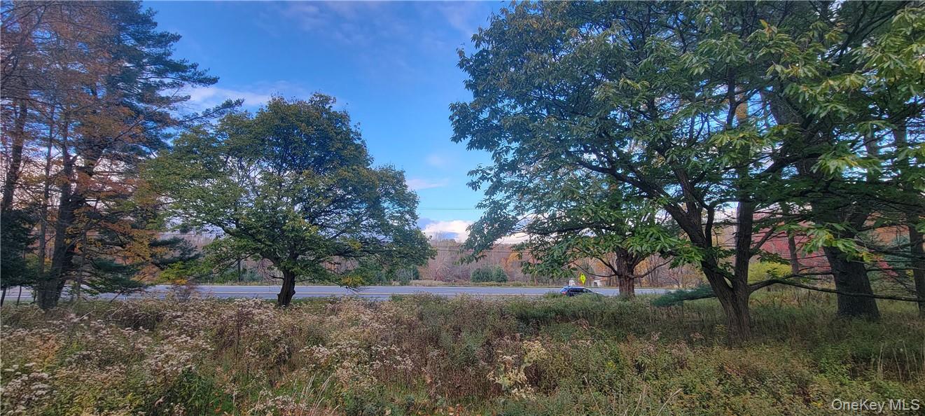 #6 photo, 1195 NYS Route 17B, Mongaup Valley , NY 12762