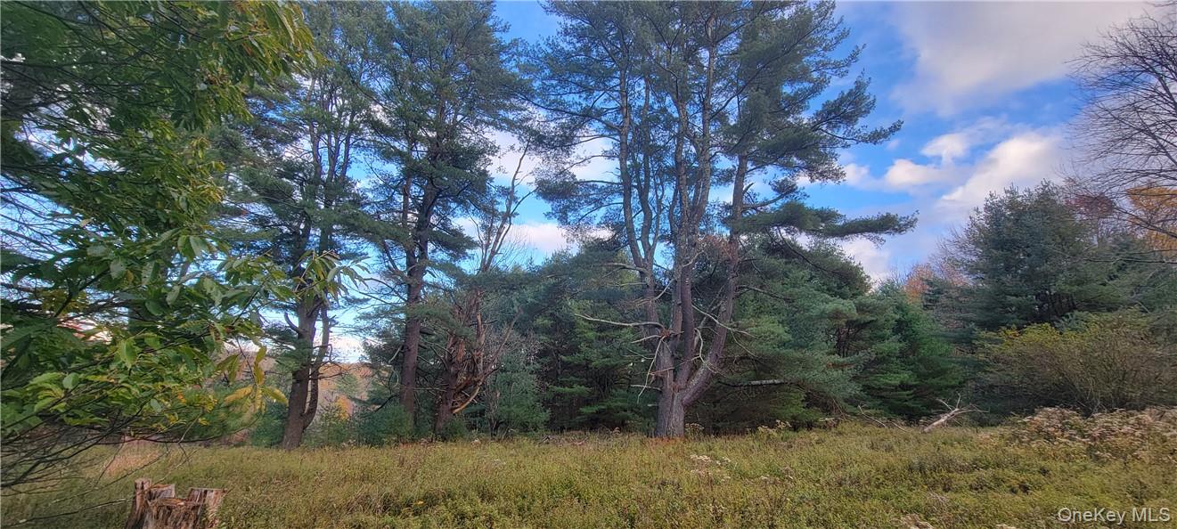 #7 photo, 1195 NYS Route 17B, Mongaup Valley , NY 12762