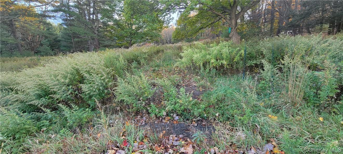 #8 photo, 1195 NYS Route 17B, Mongaup Valley , NY 12762