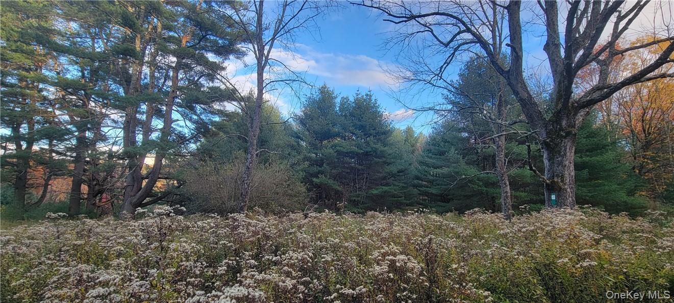 #9 photo, 1195 NYS Route 17B, Mongaup Valley , NY 12762