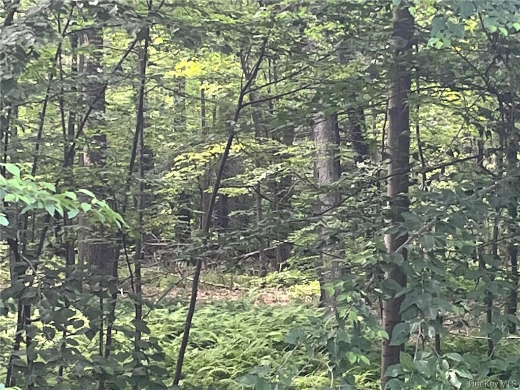 #2 photo, Mount Ross, Pine Plains , NY 12567