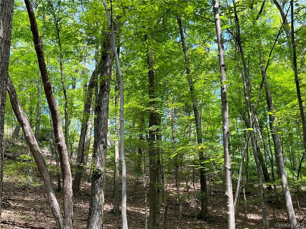 #3 photo, Mount Ross, Pine Plains , NY 12567