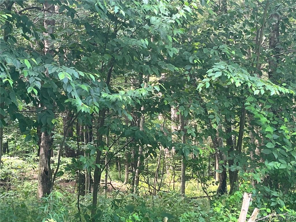 #4 photo, Mount Ross, Pine Plains , NY 12567