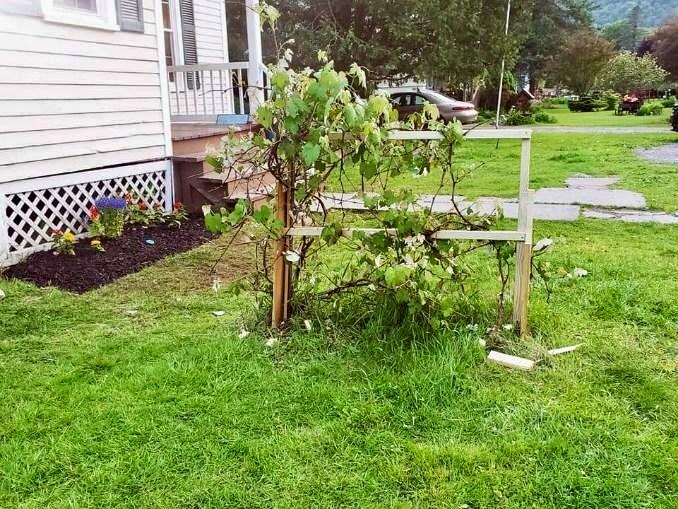 #2 photo, 53 Yorktown Road, Roscoe , NY 12776