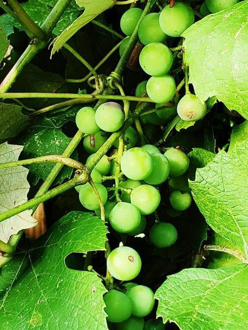 #3 photo, 53 Yorktown Road, Roscoe , NY 12776