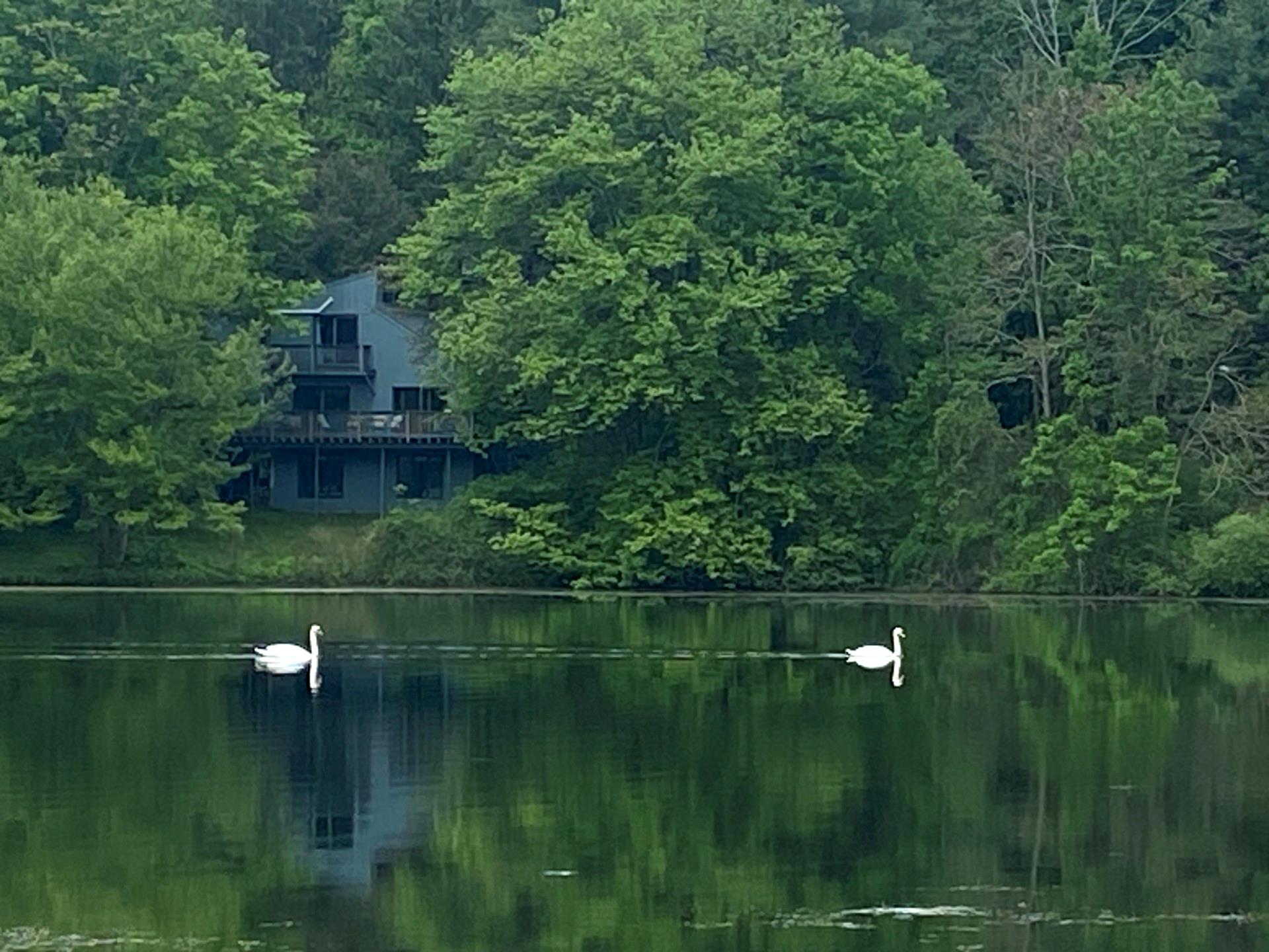 #3 photo, 46 Patricia Lane, Clinton Corners , NY 12514