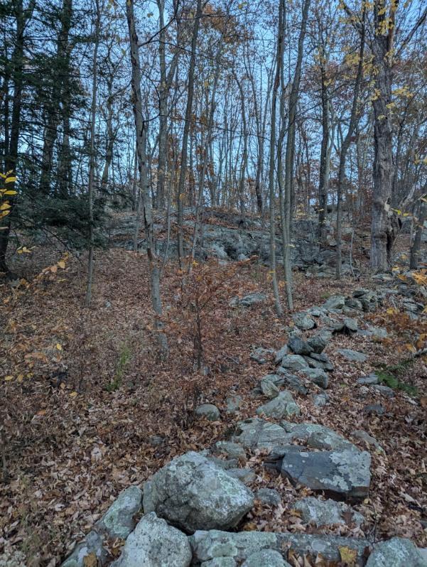 #4 photo, 250 Hortontown Road, Hopewell Junction , NY 12533