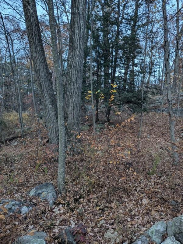 #5 photo, 250 Hortontown Road, Hopewell Junction , NY 12533