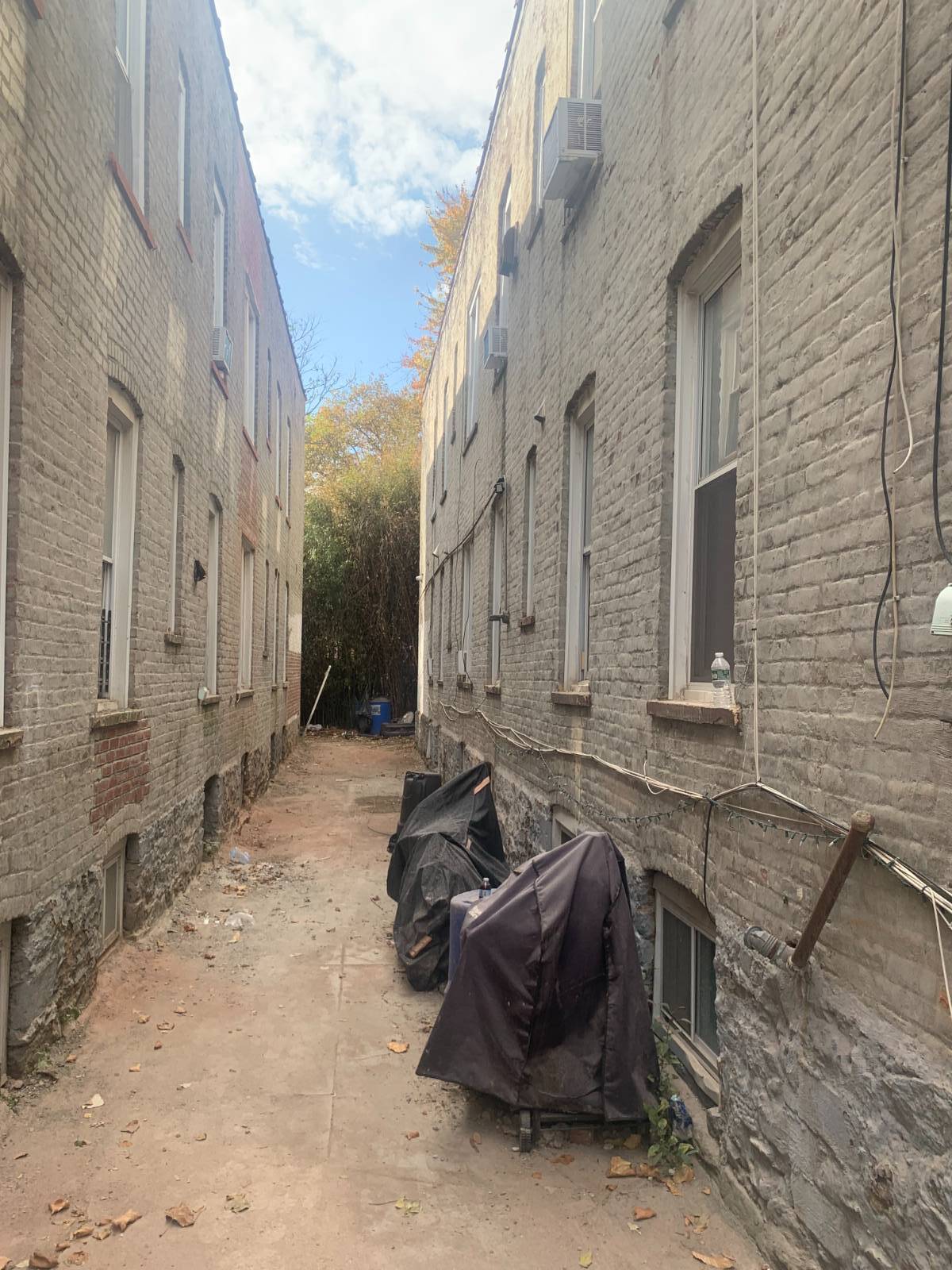 #23 photo, 576 Williams Ave, ブルックリン区 Brooklyn , NY 11207