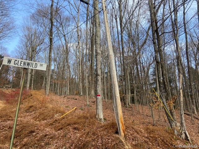 #12 photo, Glenwild Drive, Smallwood , NY 12778